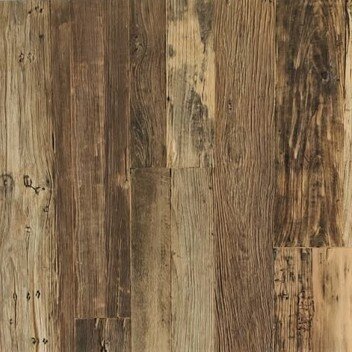 Olmo di recupero.jpg